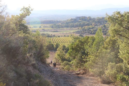 2025-10-10-Saint-Andre-de-Cruzieres-Visa-2000-83