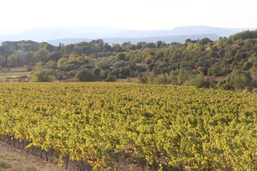 2025-10-10-Saint-Andre-de-Cruzieres-Visa-2000-84