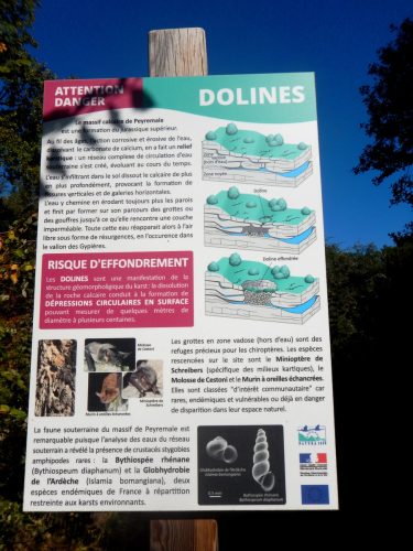 DSCN9910