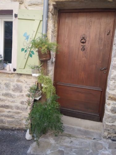 IMG-20251019-WA0022