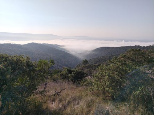 IMG 20251014 100101992