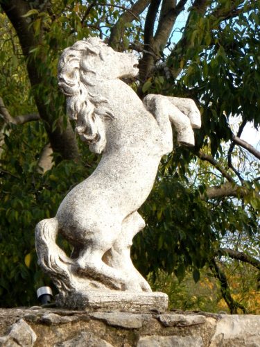 DSCN9972