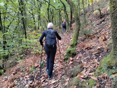 IMG 20251024 110131596