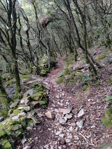 IMG 20251024 115358902