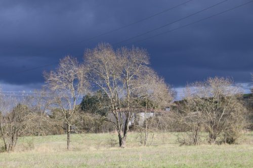 2025-11-07-Salindres-Visa-2000-09