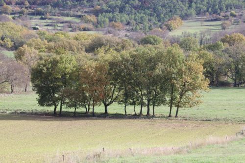 2025-11-07-Salindres-Visa-2000-11