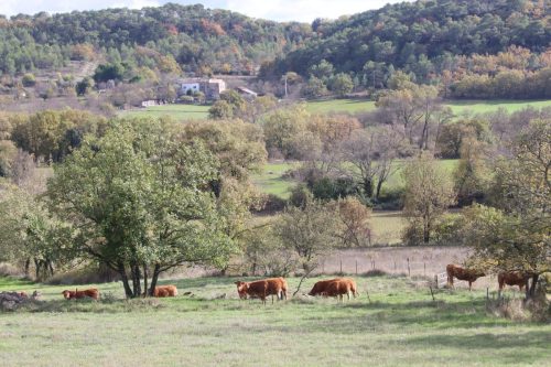 2025-11-07-Salindres-Visa-2000-14