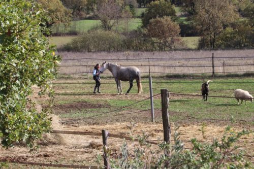 2025-11-07-Salindres-Visa-2000-16