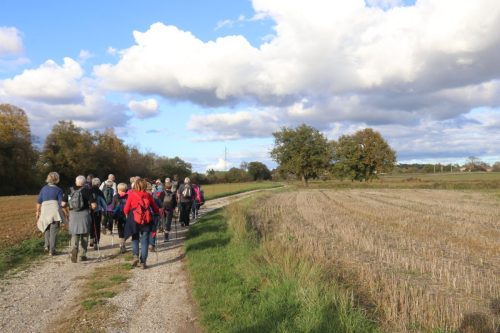 2025-11-07-Salindres-Visa-2000-37