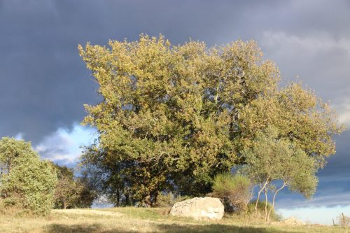 2025-11-07-Salindres-Visa-2000-46