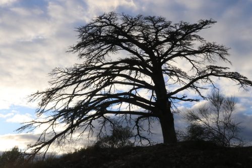 2025-11-07-Salindres-Visa-2000-49