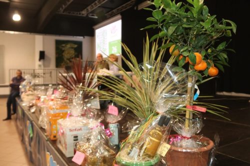 2025-11-17-Loto-VISA-2000-40