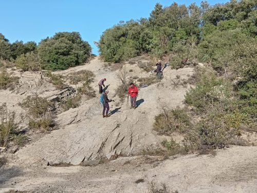 IMG-20251121-WA00611