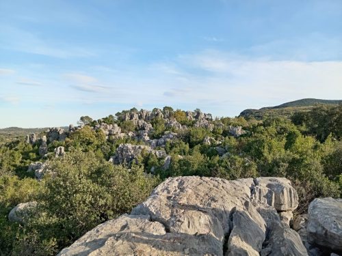 WhatsApp-Image-2025-11-28-a-17.56.46 5a67788e