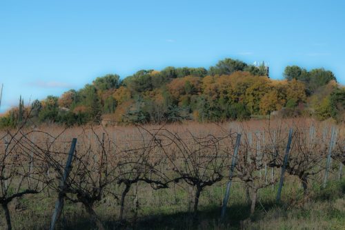 2025-12-05-Musee-du-Vieil-Ales-VISA-2000-05