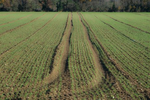 2025-12-05-Musee-du-Vieil-Ales-VISA-2000-17