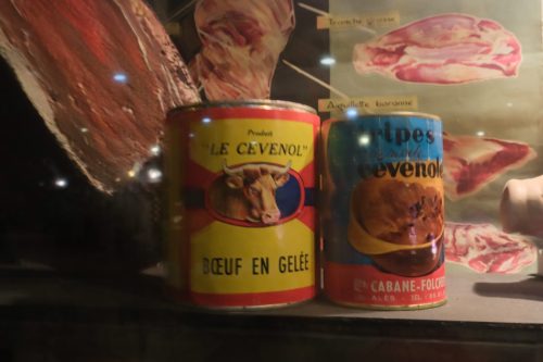 2025-12-05-Musee-du-Vieil-Ales-VISA-2000-46