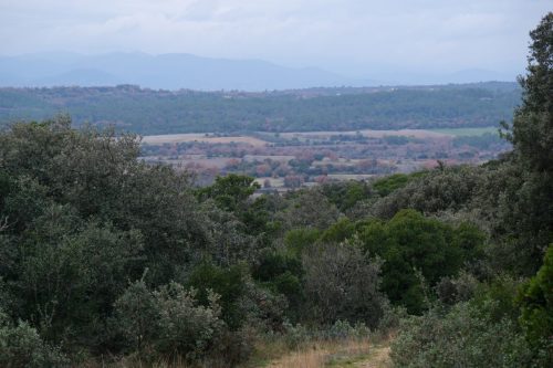 2025-12-12-Euzet-VISA-2000-13