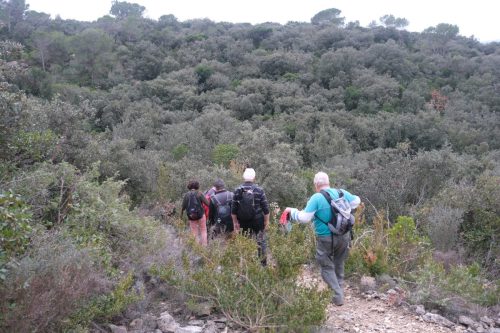 2025-12-12-Euzet-VISA-2000-28