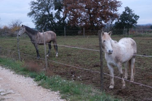 2025-12-12-Euzet-VISA-2000-44