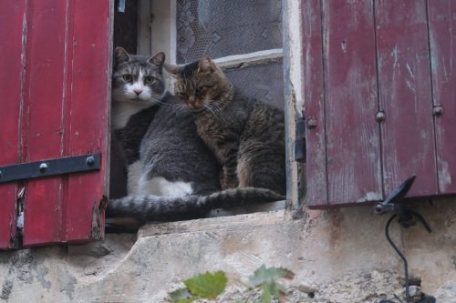 2025-12-12-Euzet-VISA-2000-45