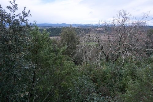 2026-01-09-Monteils-La-vieille-cite-Visa-2000-14