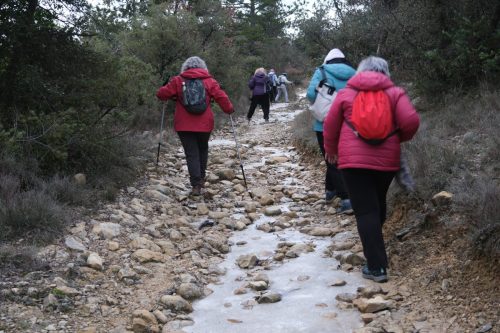 2026-01-09-Monteils-La-vieille-cite-Visa-2000-35