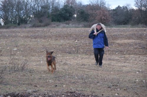 2026-01-09-Monteils-La-vieille-cite-Visa-2000-37