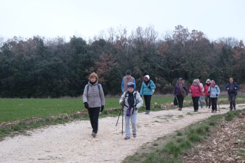 2026-01-09-Monteils-La-vieille-cite-Visa-2000-38