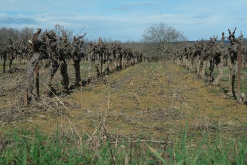 2026-02-06-Martignargues-Visa-2000-23