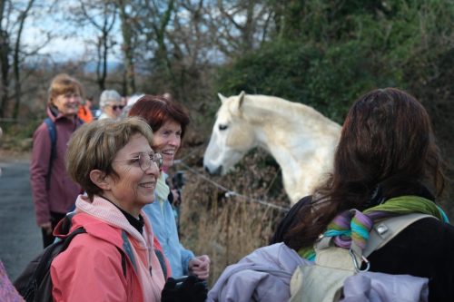 2026-02-06-Martignargues-Visa-2000-24