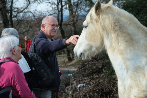 2026-02-06-Martignargues-Visa-2000-26