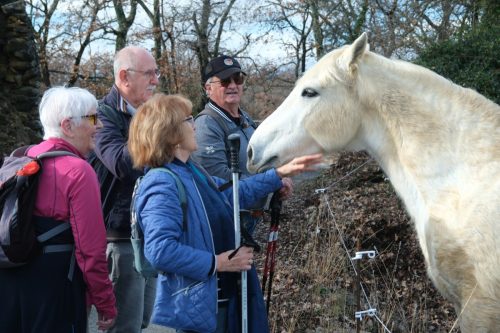 2026-02-06-Martignargues-Visa-2000-27