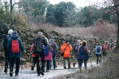 2026-02-06-Martignargues-Visa-2000-33