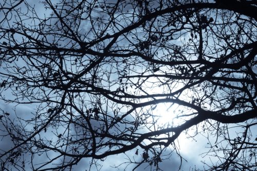 2026-02-06-Martignargues-Visa-2000-34