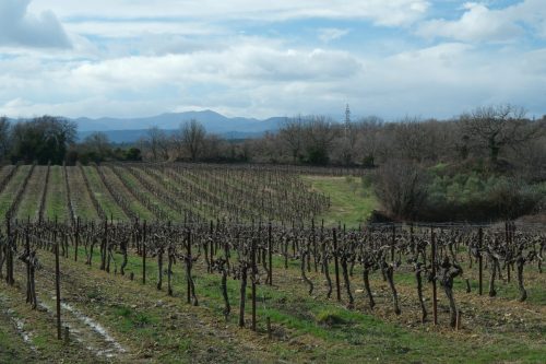 2026-02-06-Martignargues-Visa-2000-36