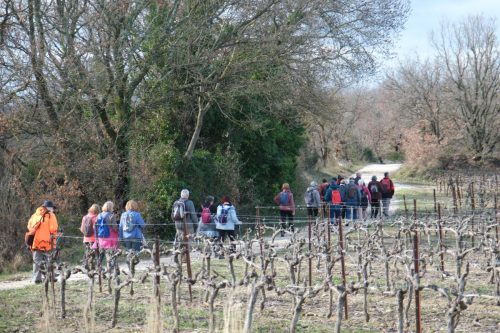 2026-02-06-Martignargues-Visa-2000-38