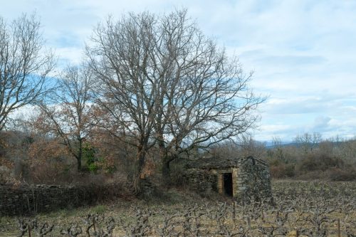 2026-02-06-Martignargues-Visa-2000-40