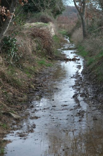 2026-02-06-Martignargues-Visa-2000-44