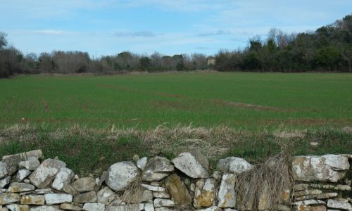 2026-02-06-Martignargues-Visa-2000-48