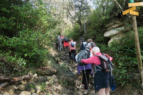 2026-02-06-Martignargues-Visa-2000-50