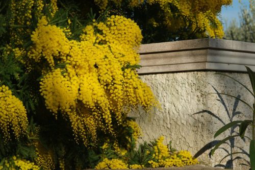 2026-02-06-Martignargues-Visa-2000-64