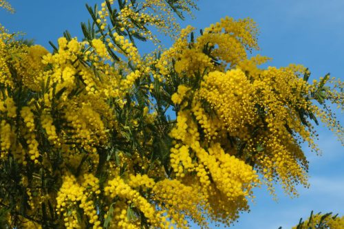 2026-02-06-Martignargues-Visa-2000-66