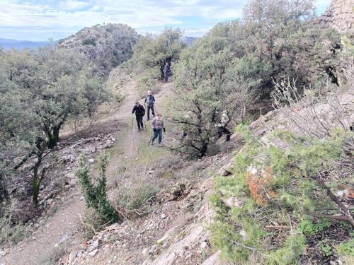 IMG 20260206 102656896