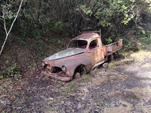 IMG 20260206 141347853