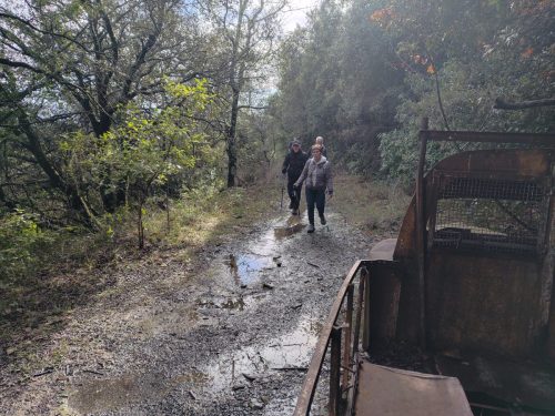 IMG 20260206 141410746