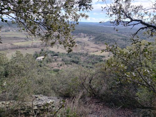 IMG 20260206 142645677