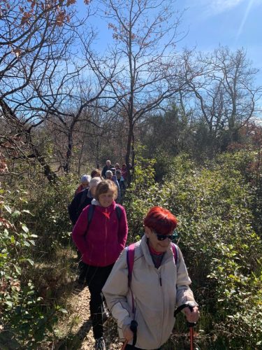 WhatsApp-Image-2026-02-21-at-07.20.21-1