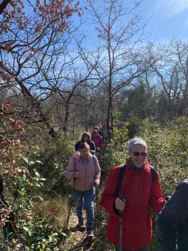 WhatsApp-Image-2026-02-21-at-07.20.21