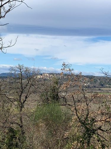 WhatsApp-Image-2026-02-21-at-07.20.22-1